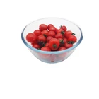 Heated borosilicate eco-friendly set glass salad industrial size clear mixing bowl with plastic lid