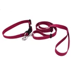 Reinforced Skidsproof Walk Doggies Silicone Dog Leash Collars
