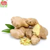 /product-detail/crystal-ginger-fresh-ginger-dry-ginger-supplier-60295689539.html