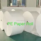 pe cup paper plate popcorn box cardboard for paper glasses