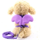 Hot Sell Cute Wing Pet Training Nylon Dog Collars Leashes Custom Rope For Dog Leash
