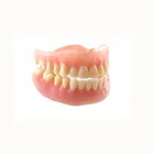 flexible dentures acrylic denture teeth false teeth dental