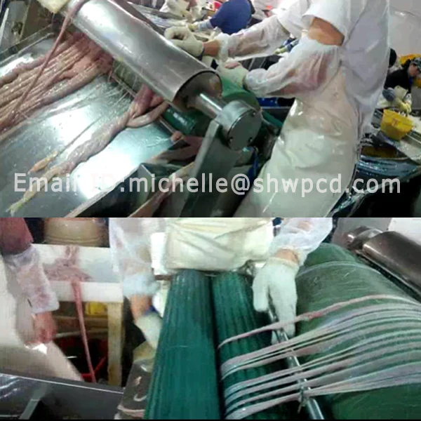 sheep casing cleaning machine Hog Casing Cleaning Machine for hog casing (1).jpg