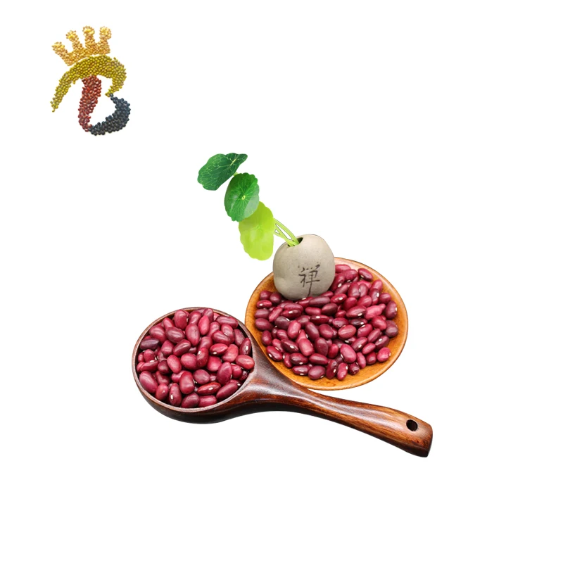 Qualities product red kidney beans japanese different types of pulses