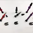 Bicycle and Tubeless Presta Valves Pair Cycling Bike Bicycle Tyres Removable Core and Tool