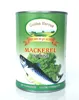 /product-detail/canned-mackerels-in-brine-62149980107.html