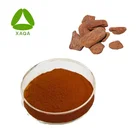 Pine bark mulch powder French maritime pine bark extract Anti-aging OPC Procyanidin 95%