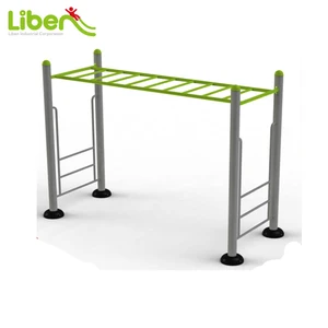 monkey bars for adults