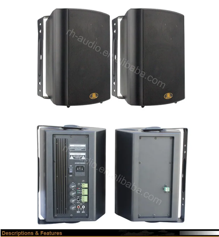 China Factory RH-AUDIO 30W two way active loudspeaker with microphone input - ANKUX.COM
