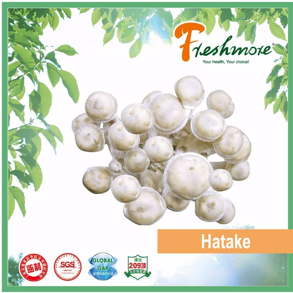 Hatake Shimeji Mushroom Buy Hatake,Hatake Mushroom,Shimeji Mushroom