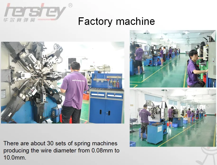 .jpg