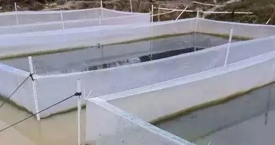 Net Aquaculture, Fishes Net, Aquaculture Mesh, Fish Farm Net