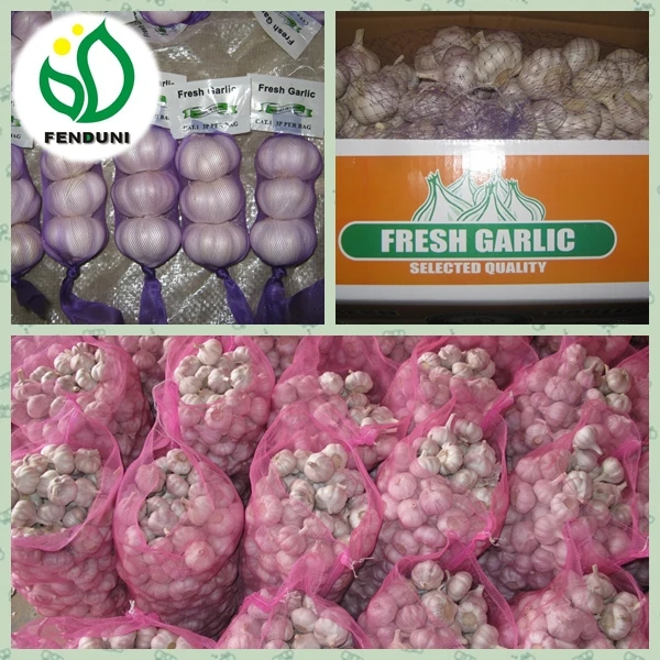 China White Fresh Garlic Small Packaging 6p/5p/4p/3p/2p/1p garlic