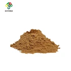 Drink 1 Powder Drink Organic Cordyceps Militaris Extract Powder 50:1 Polysaccharide Instant Drink