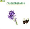 high quality lavender concentrated fragrance oil for dishwashing and kitchen detergent