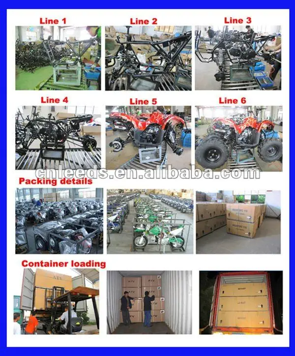 3800W ELECTRIC UTV JEEP(MC-163)