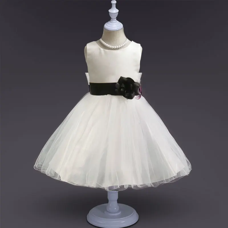 6902347703_407484580