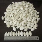 Chinese snow white pumpkin seeds 2017 crop