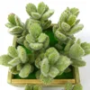 /product-detail/small-hanging-plastic-mini-succulent-artificial-plant-62028127818.html