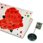 Costom creative beautiful sound card greeting cards wholesale