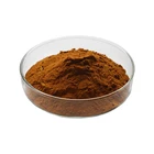 Pharmaceuticals Grade Reishi Mushroom Extract Powder