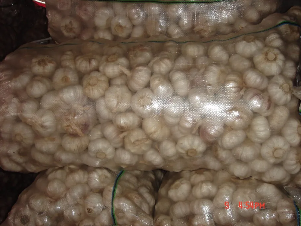 YUYUAN brand hot sail fresh garlic garlic mesh bag
