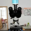digital binocular microscope with camera usb digital microscope live and dry blood analyze microscope l
