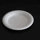 10 inch Eco-Friendly biodegradable compostable tableware disposable plates