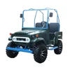 4 wheel electric UTV for adults with EEC