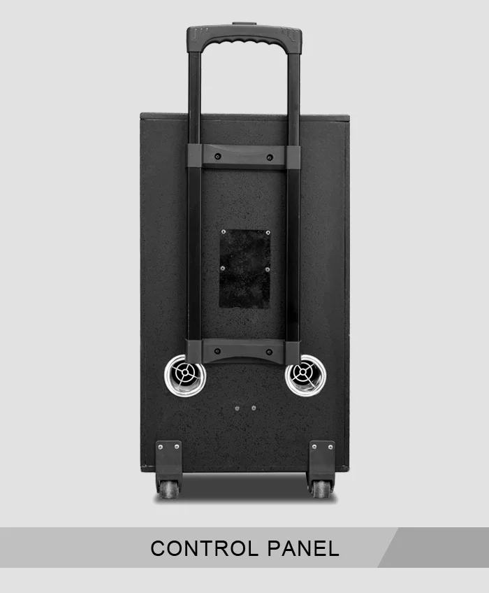 12 Inch Big Power Subwoofer DJ PA Woofer Speakers Outdoor Portable Trolley Speaker For Sale - ANKUX.COM