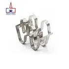 Stainless steel Super Raschig Ring Metal Super Raschig Ring random packing for Absorption/Scrubbing