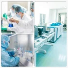 Extract Black Factory Wholesale Sale Nature Plant Extract Black Garlic Extract Powder/Black Garlic Polyphenols