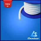 customized chemical resistant expanded ptfe joint sealant expanded ptfe tape