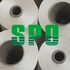 Silk Thread Natural Silk YarnTextile Yarn 210NM/2 for Weaving and Knitting Application,Free Sample,Factory Wholesale Price