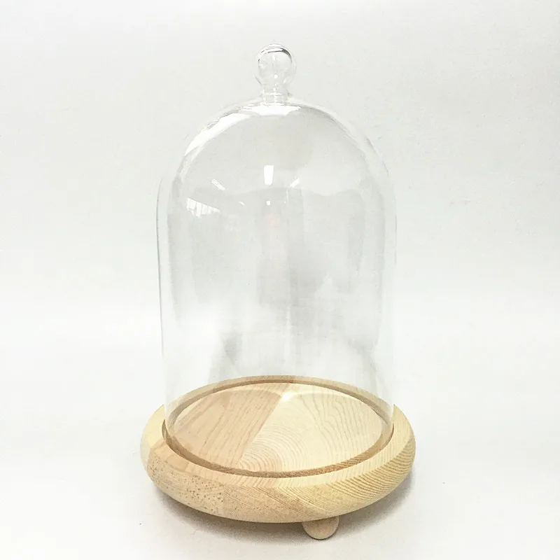 glass dome cloche with wood base