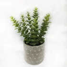 Artificial Succulent Plants Faux planter Animal pots for indoor decoration