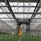 Mobile sprinkler irrigation system
