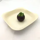 New product bamboo fiber plate food serving tray