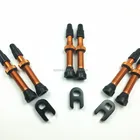 Mountain Bike & Road Bike Bicycle Tyre Tube Valve Presta 50mm