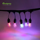 Chinlighting christmas LED string lights RGBW outdoor for festival decoration