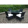 New Products All Weather Wicker synthetic rattan furniture Dining Set