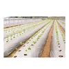 /product-detail/agricultural-plastic-film-black-silver-mulch-film-60840774070.html
