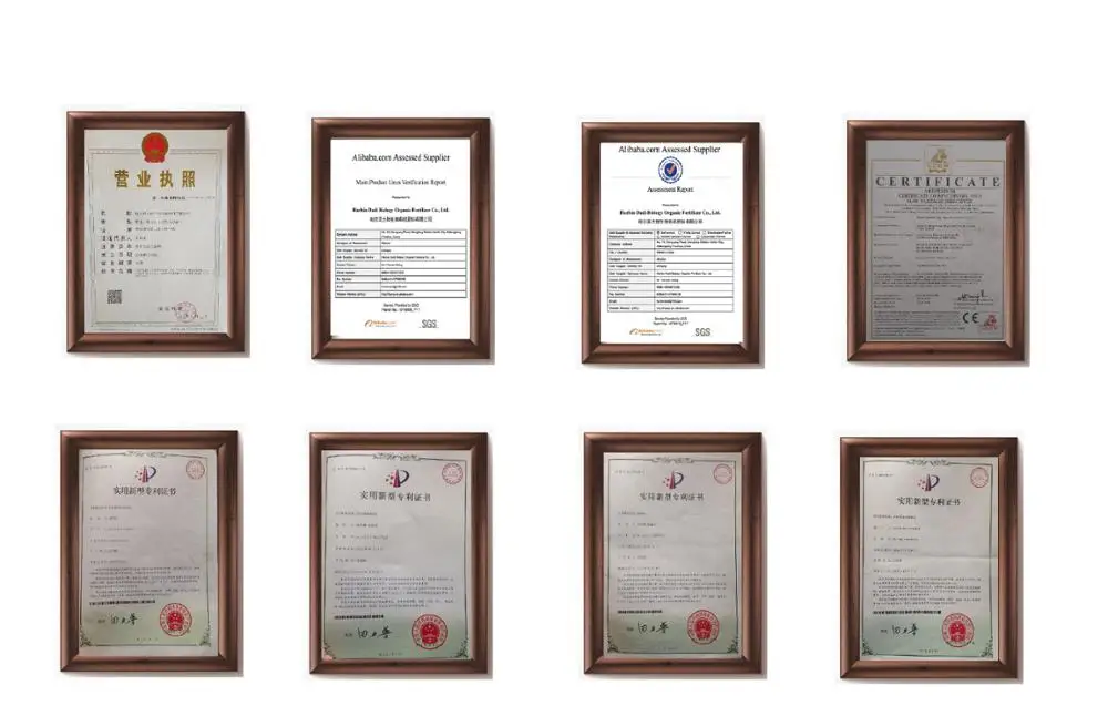 Bentonite clay cat litter granules making machine