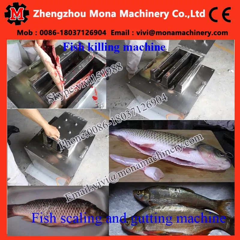 Fish cleaning machine (2).jpg