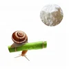 /product-detail/natural-cosmetic-ingredient-mucus-snail-extract-60794776353.html