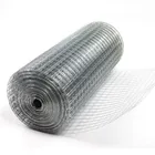 2x2 galvanized welded wire mesh