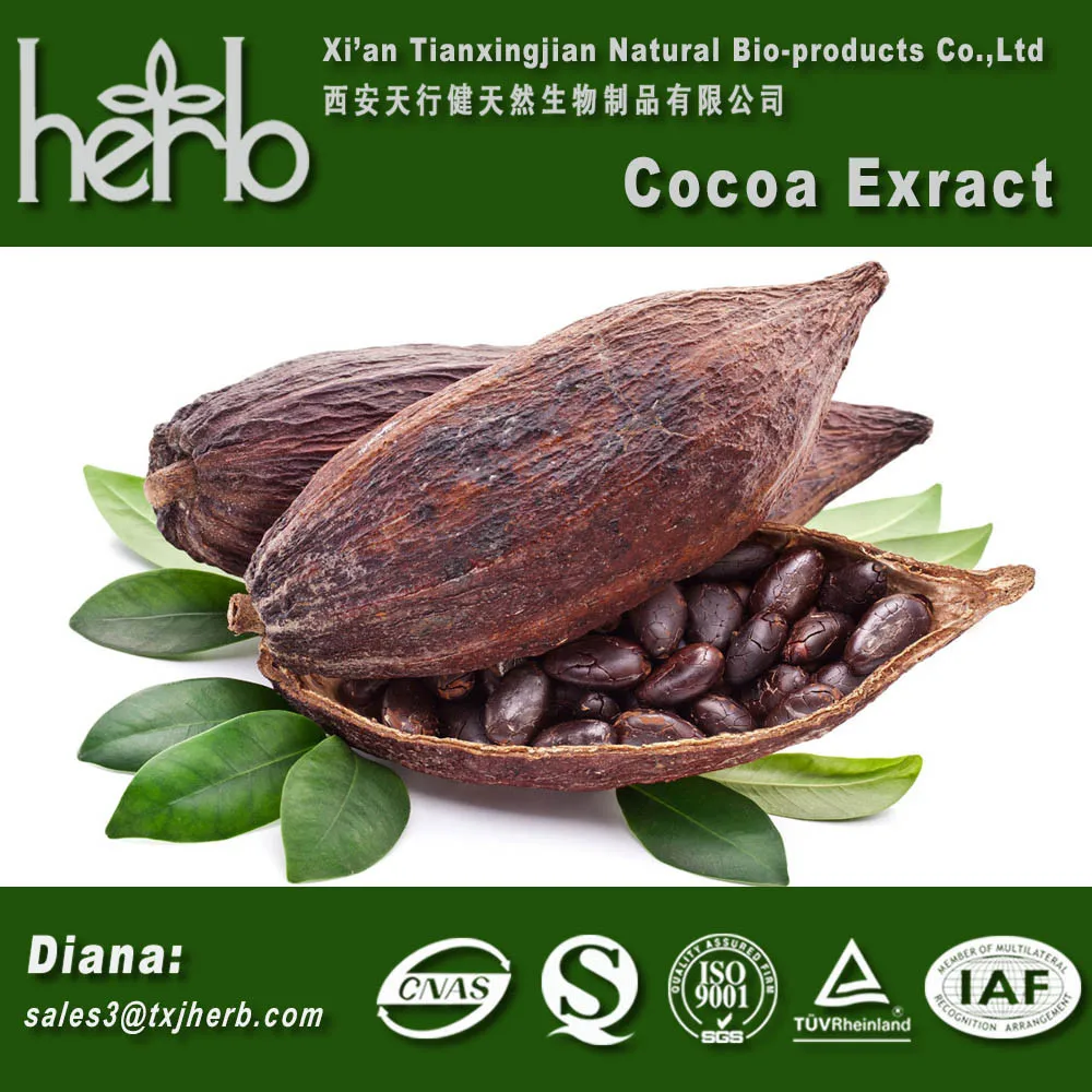 High Quality Cocoa Seed Extract/cocoa P.e./cocoa Polyphenol 10 20 40