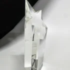 Crystal Pujiang Crystal Factory Trophy Crystal Star Award Glass Souvenir Gifts For Company