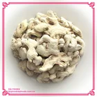 Dehydrated Ginger Powder (Free Sample)