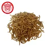 Canary Food Bird Food Live Yellow Mealworm For Raw Material Seeds